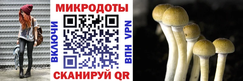 Псилоцибиновые грибы прущие грибы Купить закладки Арамиль